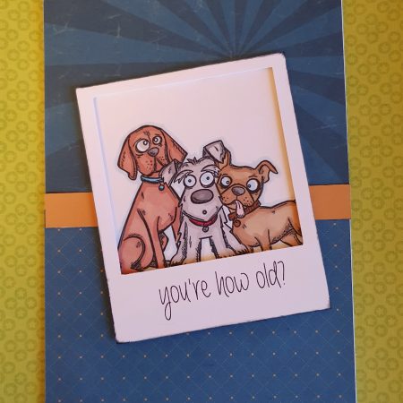 Handcrafted" You're how old?" birthday card