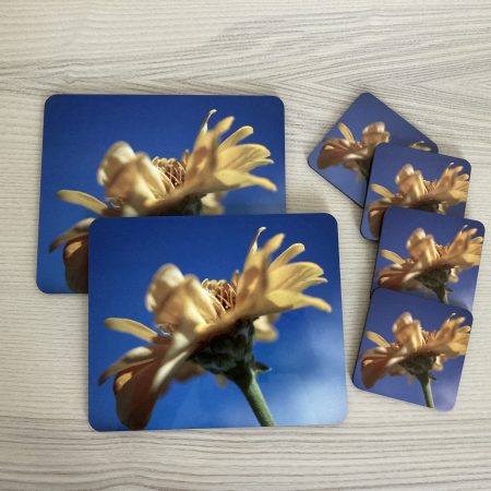 Wooden Placemats And Coasters Set Of 6 Floral Design Gift Set | 4 Coasters And 2 Placemats