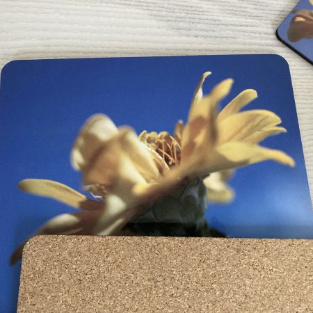 Wooden Placemats And Coasters Set Of 6 Floral Design Gift Set | 4 Coasters And 2 Placemats