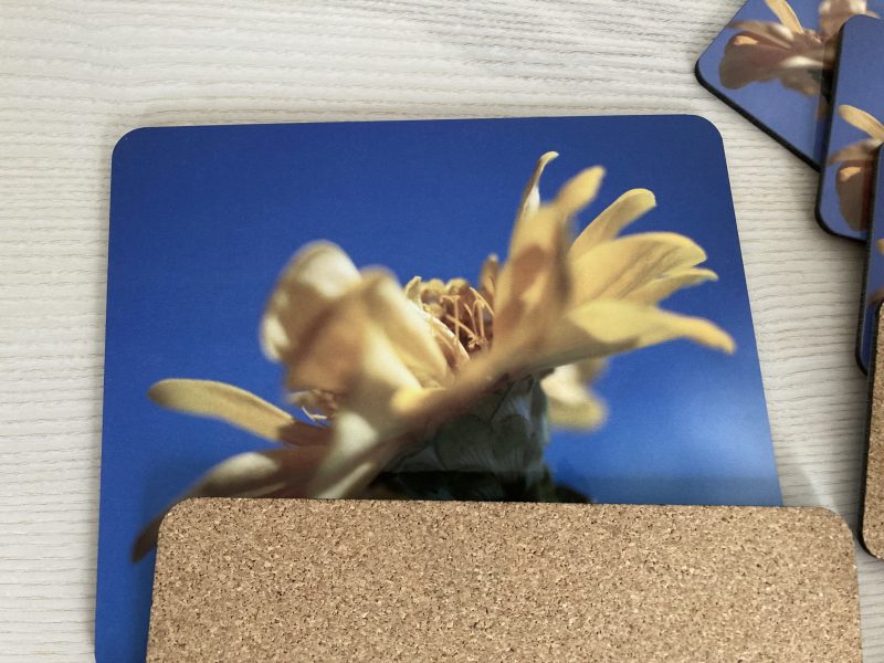 Wooden Placemats And Coasters Set Of 6 Floral Design Gift Set | 4 Coasters And 2 Placemats