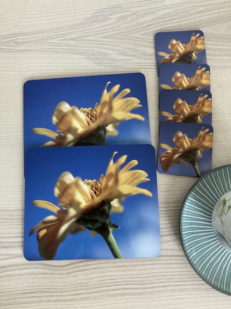 Wooden Placemats And Coasters Set Of 6 Floral Design Gift Set | 4 Coasters And 2 Placemats