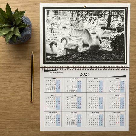 Large Wall Calendar With Wildlife Photography A3 Size Handmade Year At A Glance