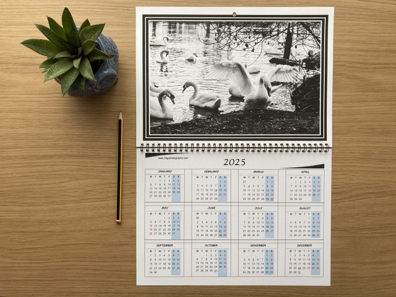 Large Wall Calendar With Wildlife Photography A3 Size Handmade Year At A Glance