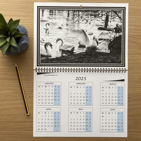 Large Wall Calendar With Wildlife Photography A3 Size Handmade Year At A Glance