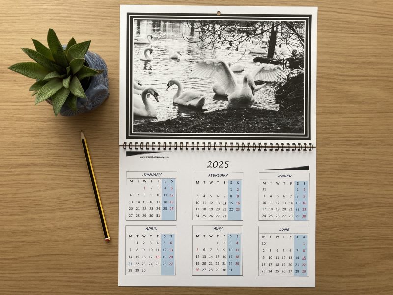 Large Wall Calendar With Wildlife Photography A3 Size Handmade Year At A Glance