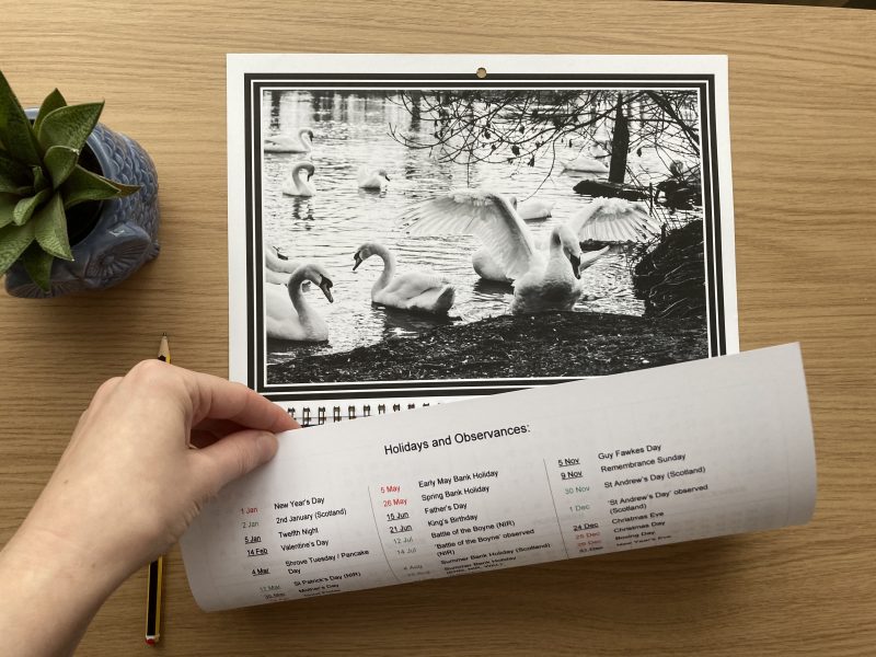 Large Wall Calendar With Wildlife Photography A3 Size Handmade Year At A Glance