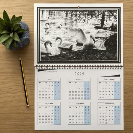 Large Wall Calendar With Wildlife Photography A3 Size Handmade Year At A Glance