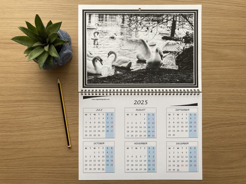 Large Wall Calendar With Wildlife Photography A3 Size Handmade Year At A Glance