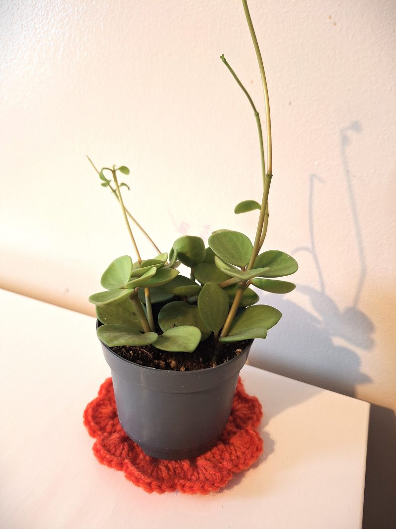 Handmade Crochet Coaster