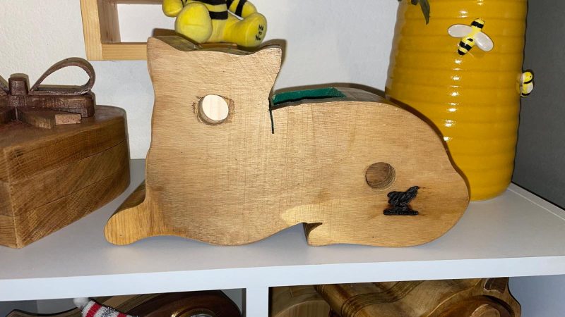 Felix the Guardian: Handcrafted Wooden Box with Customizable Velvet Drawers