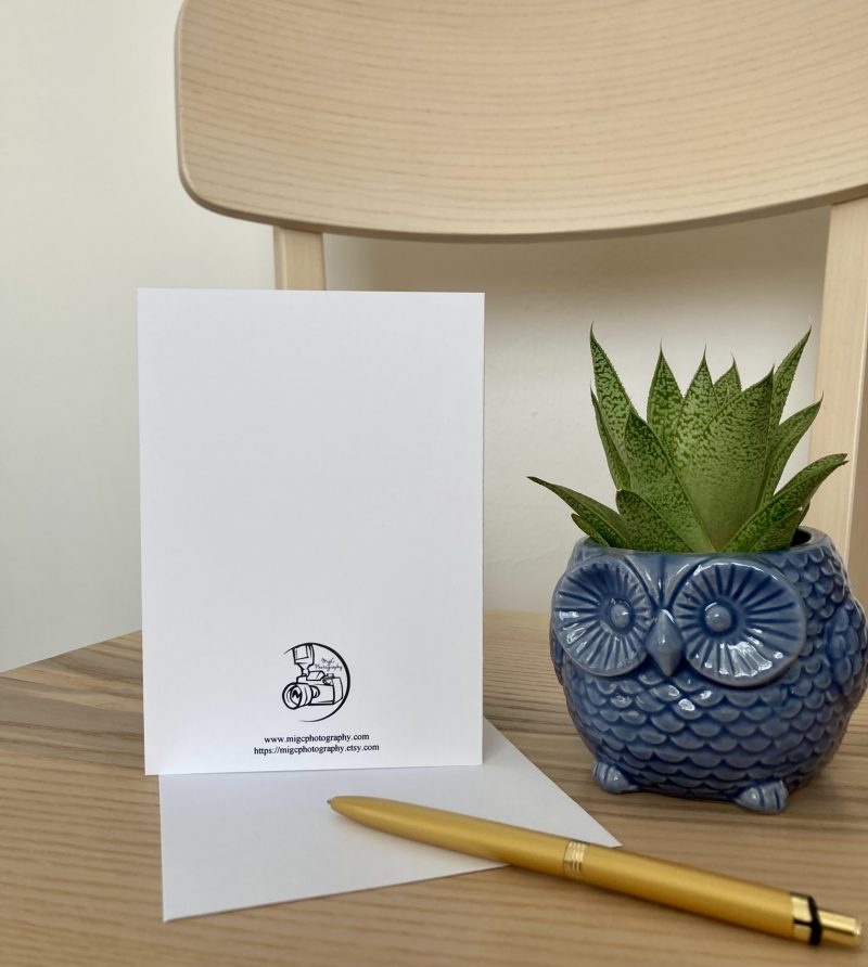 Personalised Birthday Card For Best Friend With Tulips | A6 & A5 Sizes Available