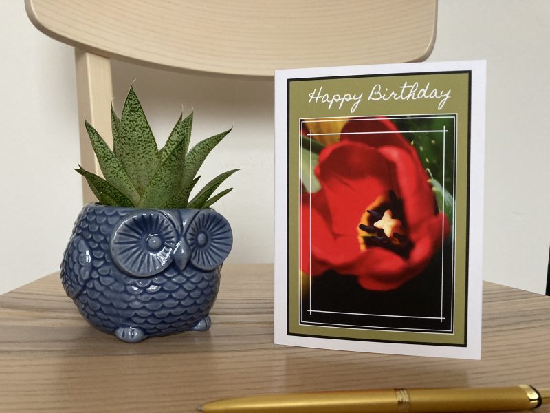 Happy Birthday Wishes Card With Tulips Design | A6 & A5 Sizes Available