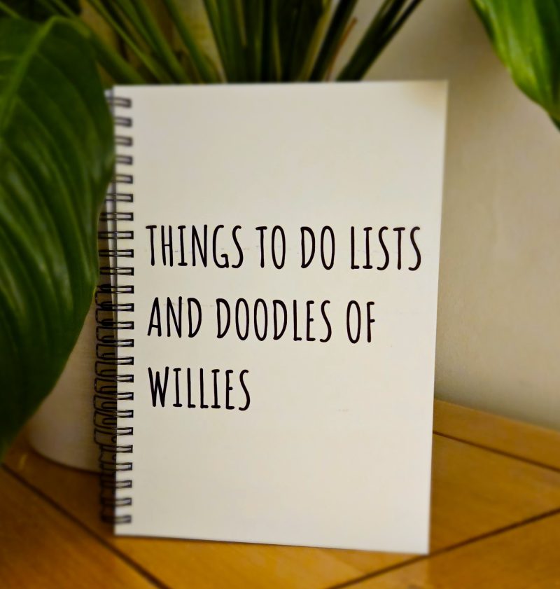 A5 ring bound funny notebook - Things to do lists and doodles of Willies