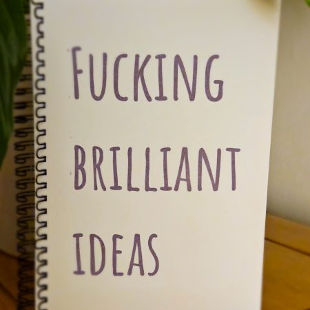 A5 ring bound funny notebook - F*cking Brilliant Ideas