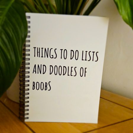 A5 ring bound funny notebook - Things to do lists and doodles of boobs