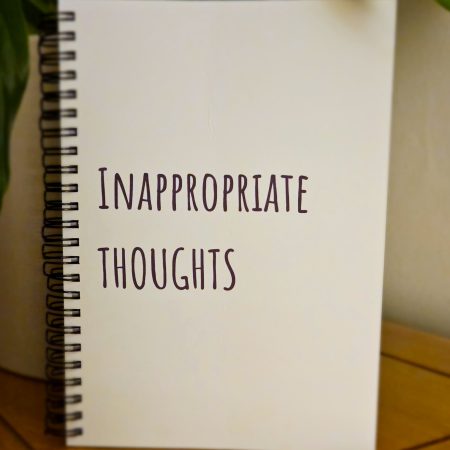 A5 ring bound funny notebook - Inappropraite thoughts