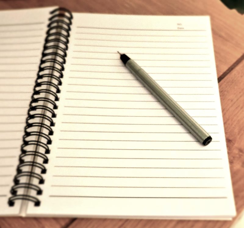 A5 ring bound funny notebook - Inappropraite thoughts