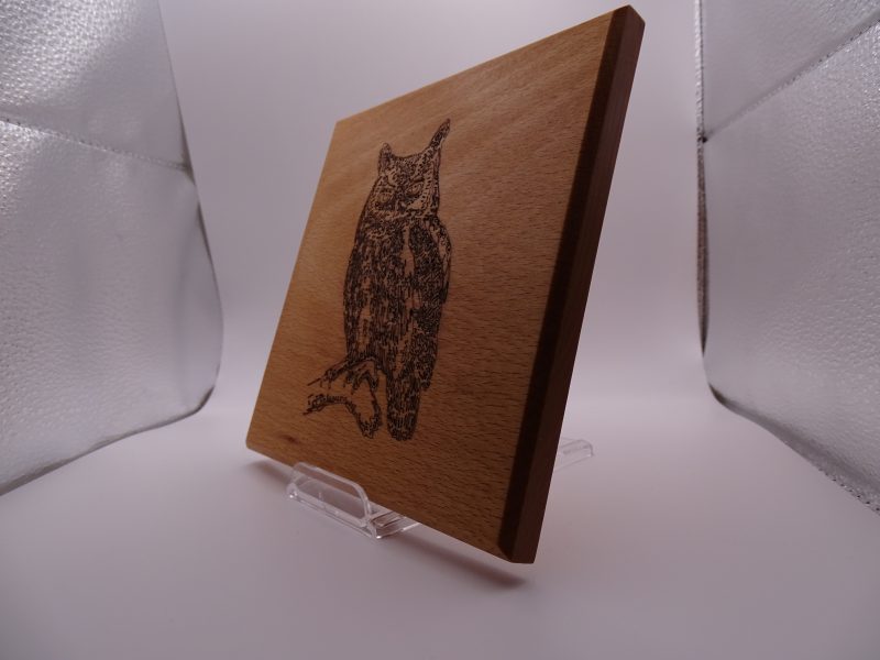 Owl Engraved on Beech Wall Hanging
