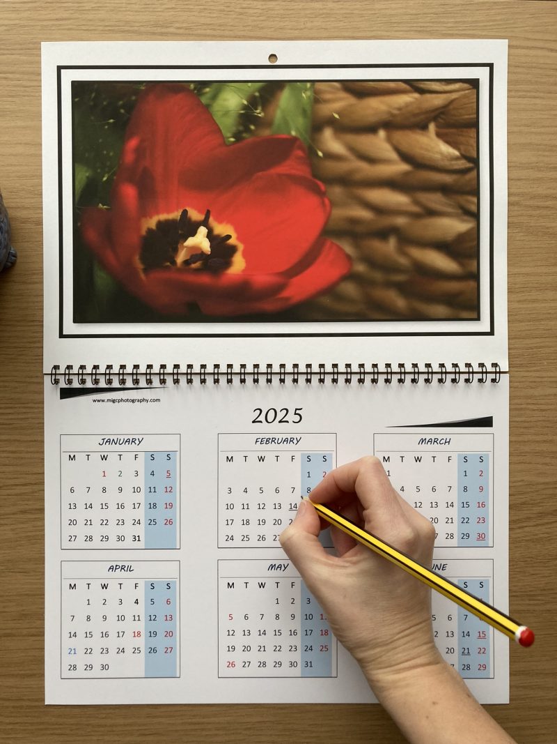 Handmade Large Wall Calendar With Flowers A3 Size Year At Glance