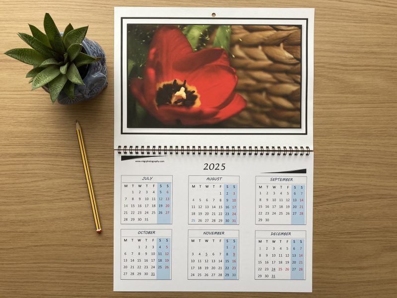 Handmade Large Wall Calendar With Flowers A3 Size Year At Glance