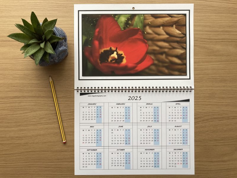Handmade Large Wall Calendar With Flowers A3 Size Year At Glance