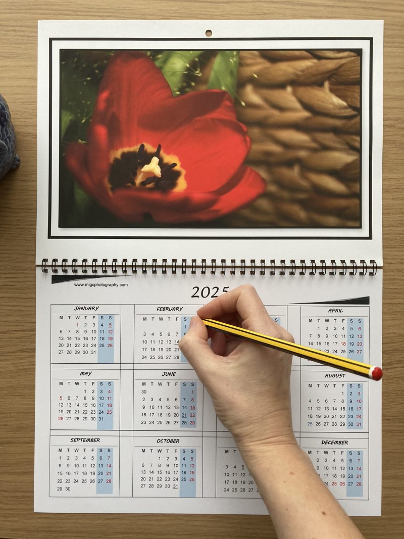 Handmade Large Wall Calendar With Flowers A3 Size Year At Glance