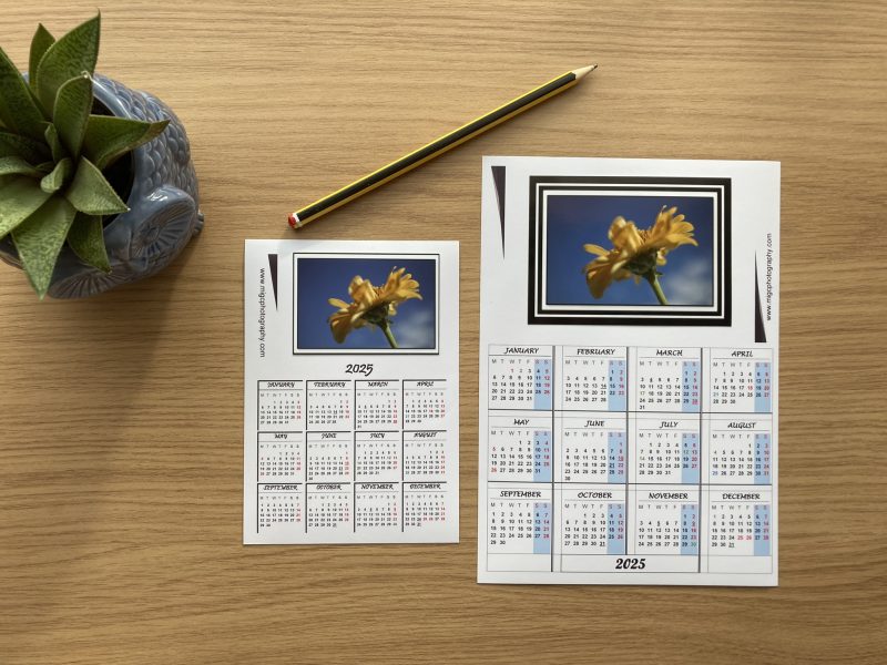 Magnetic Calendar For Fridge 2026 Floral Photography Design | A6 & A5 Sizes Available