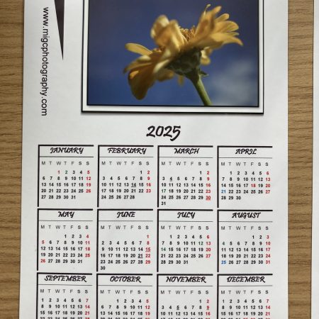 Magnetic Calendar For Fridge 2026 Floral Photography Design | A6 & A5 Sizes Available