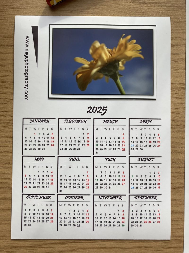 Magnetic Calendar For Fridge 2026 Floral Photography Design | A6 & A5 Sizes Available