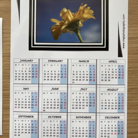 Magnetic Calendar For Fridge 2026 Floral Photography Design | A6 & A5 Sizes Available