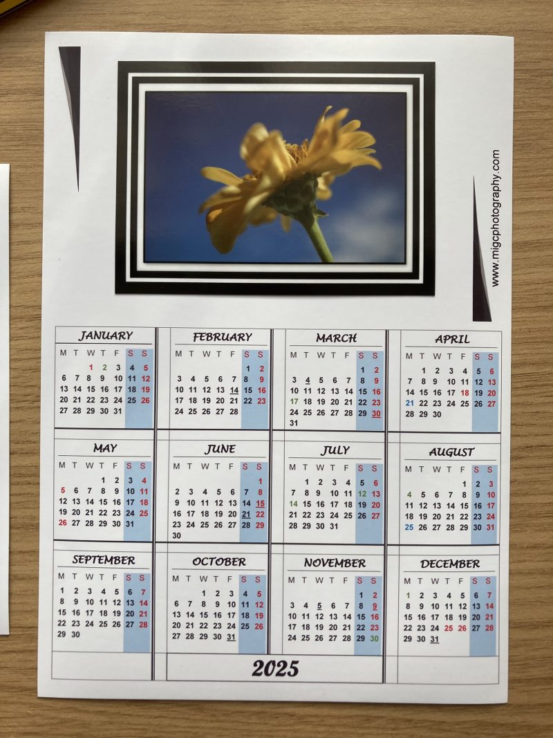 Magnetic Calendar For Fridge 2026 Floral Photography Design | A6 & A5 Sizes Available