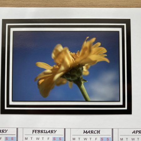 Magnetic Calendar For Fridge 2026 Floral Photography Design | A6 & A5 Sizes Available