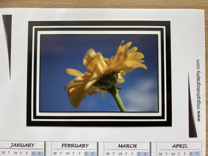 Magnetic Calendar For Fridge 2026 Floral Photography Design | A6 & A5 Sizes Available