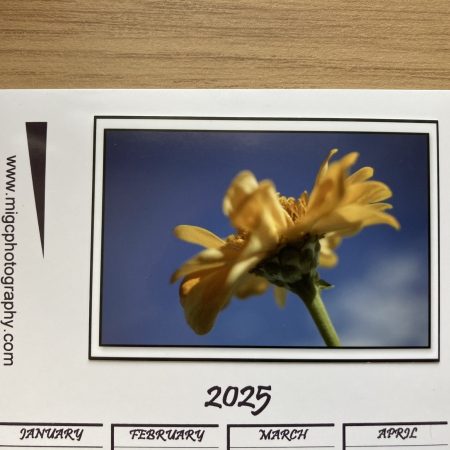 Magnetic Calendar For Fridge 2026 Floral Photography Design | A6 & A5 Sizes Available