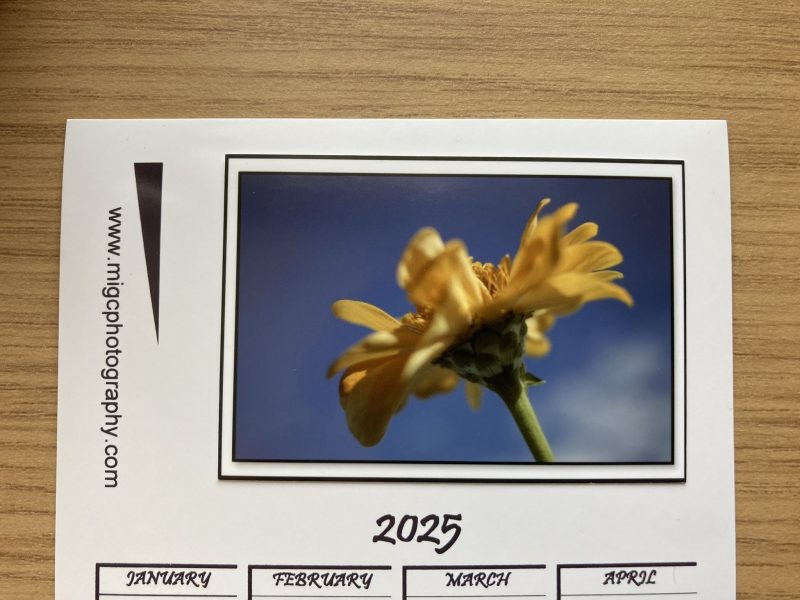 Magnetic Calendar For Fridge 2026 Floral Photography Design | A6 & A5 Sizes Available