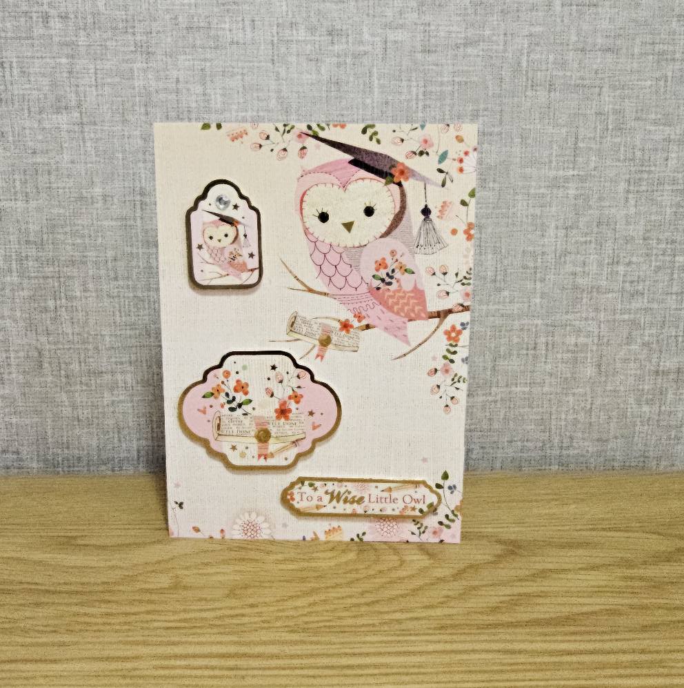 Handmade greetings card - Congratulations - School, Exams, Graduation - Wise Little Owl
