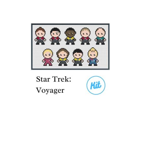 A black photo frame containing a cross stitch design of the crew from Star Trek Voyager. Including Captain Janeway, Chakotay, Tuvok, Paris, the Doctor, Seven of Nine, Torres, Kim & Neelix