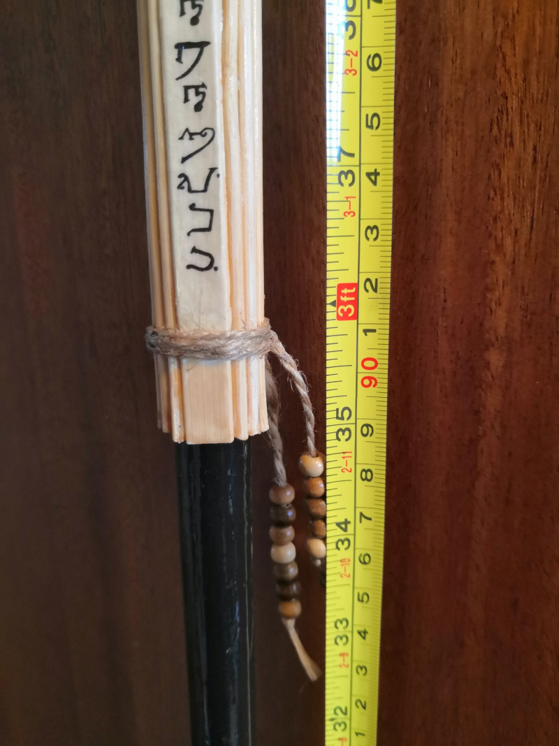 Seneca's Swaggering Skull - swagger stick | promenading cane