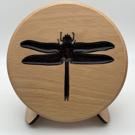 Dragonfly Engraved on Round Beech Wood infilled with coloured resin