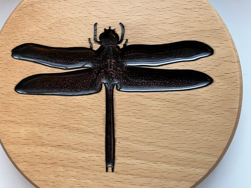 Dragonfly Engraved on Round Beech Wood infilled with coloured resin