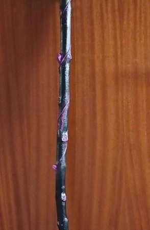 Sceptre of Shadows - amethyst and ebony effect walking stick | skull | glow, UV | LARP, Cosplay, the