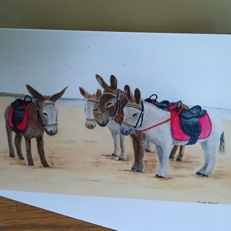 Donkey greetings cards with white envelopes, choice of 4 different designs