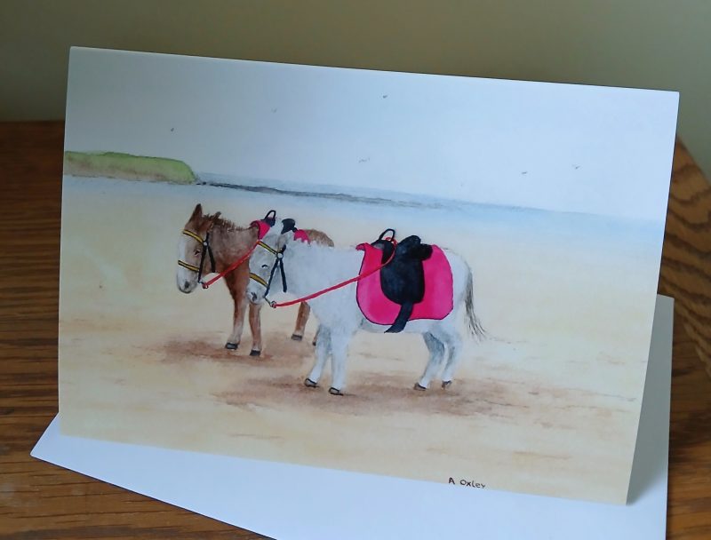 Donkey greetings cards with white envelopes, choice of 4 different designs