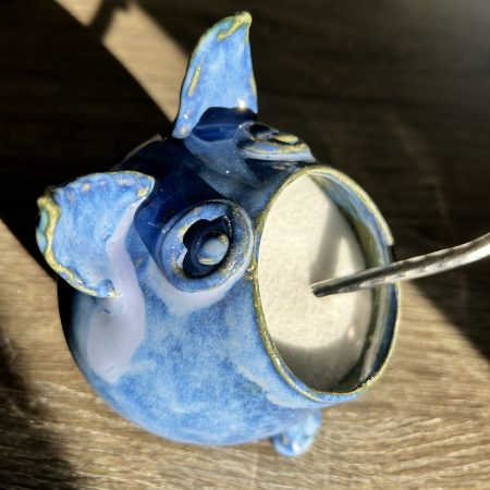 Salt pig - fun salt dispenser!