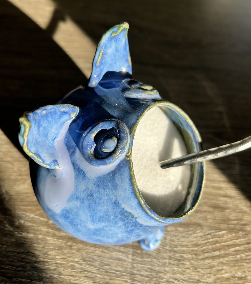 Salt pig - fun salt dispenser!