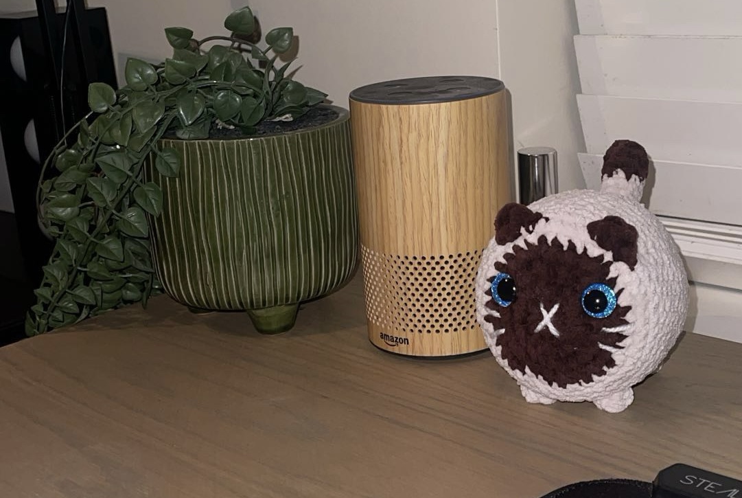 Crochetbyliia