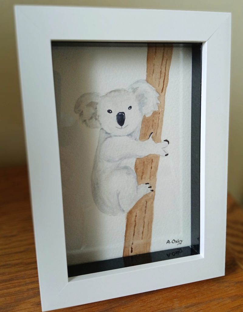 Koala original framed watercolour