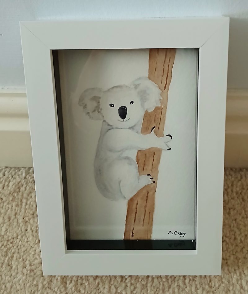 Koala original framed watercolour