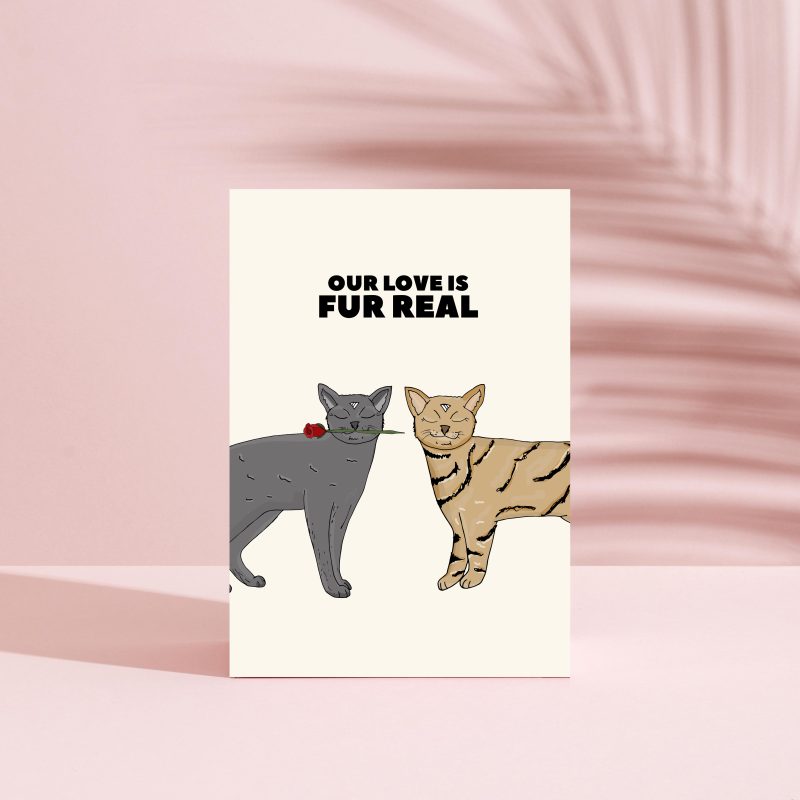 Cats Love Greeting Card / Love / Anniversary / Valentine's Day