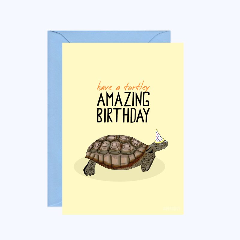Turtle Birthday Greeting Card / Birthday / Birthday Cards